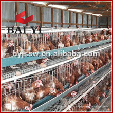 Vente 2m 30 Nid 3 Cage Elevage Poulet Cage